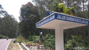 Peringatan Tabrakan Teknologi untuk Mencegah Kecelakaan